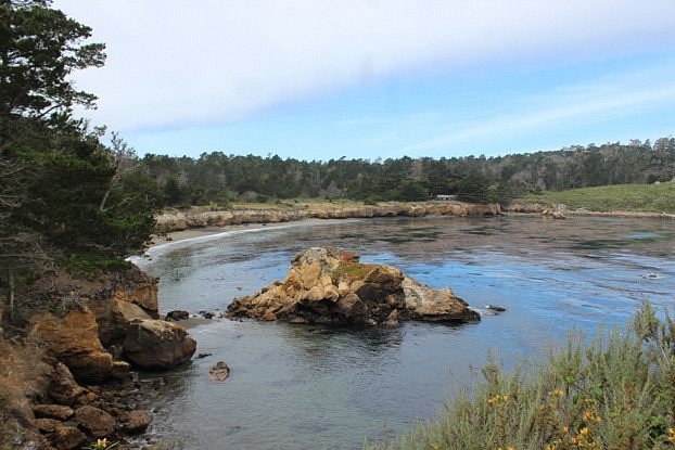 se permiten perros en point lobos