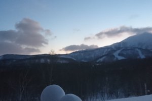 旅行者の写真