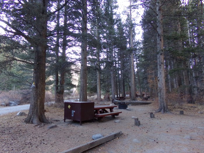 BIG MEADOW CAMPGROUND (Mammoth Lakes, Californie) - tarifs 2025