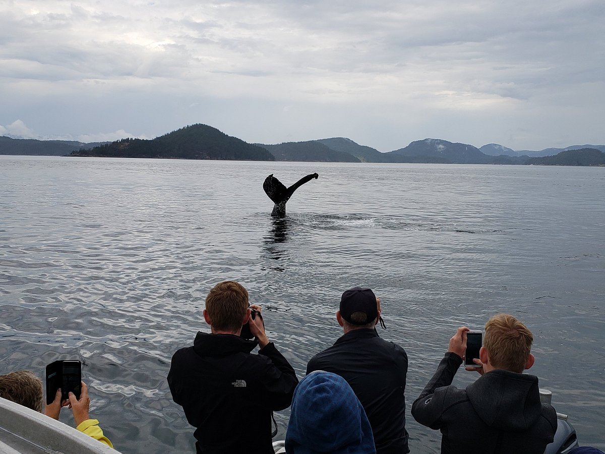 adventure quest tours canada campbell river reviews