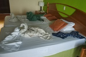 Room & Suite