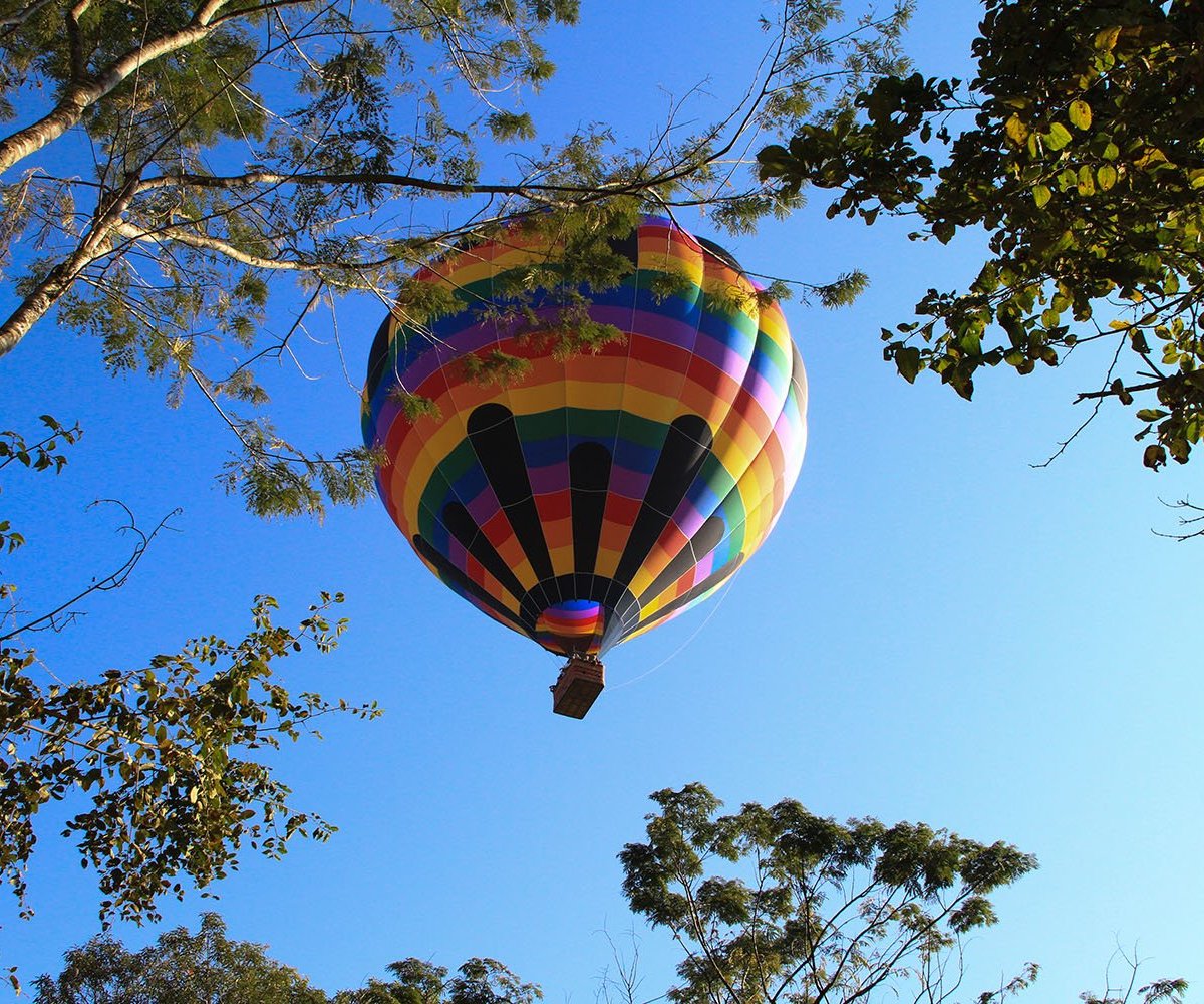 Tripadvisor  Arborismo en el huerto forestal - Campos do Jordão