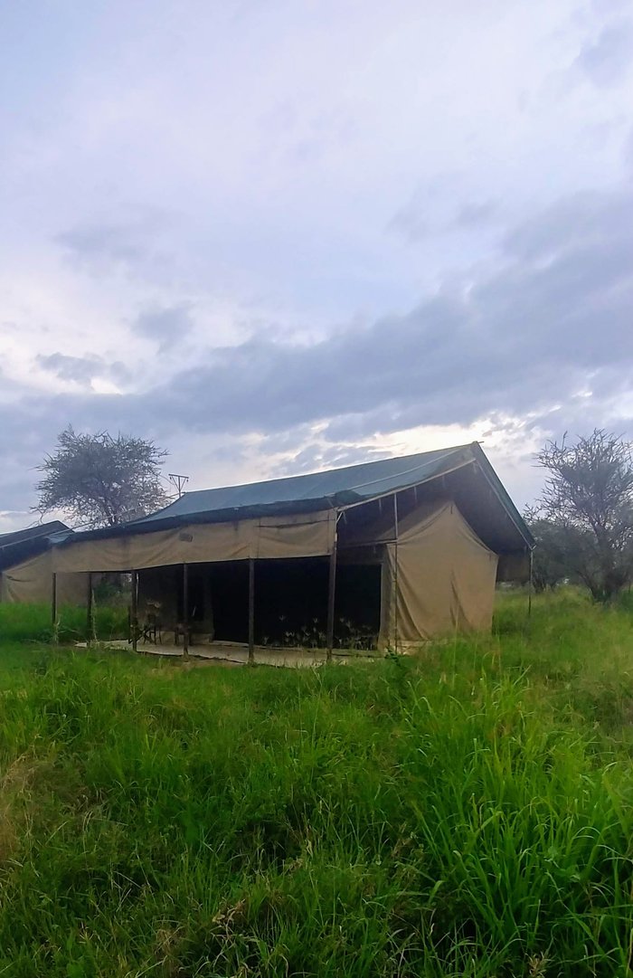 Ang'ata Serengeti Camp Rooms: Pictures & Reviews - Tripadvisor