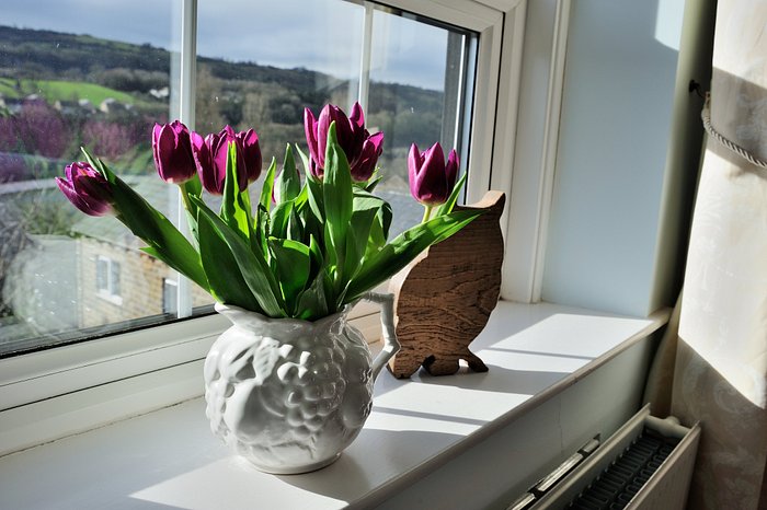 Our coffee machine setup - Picture of Forget Me Not Coffee Shop, Matlock  Bath - Tripadvisor