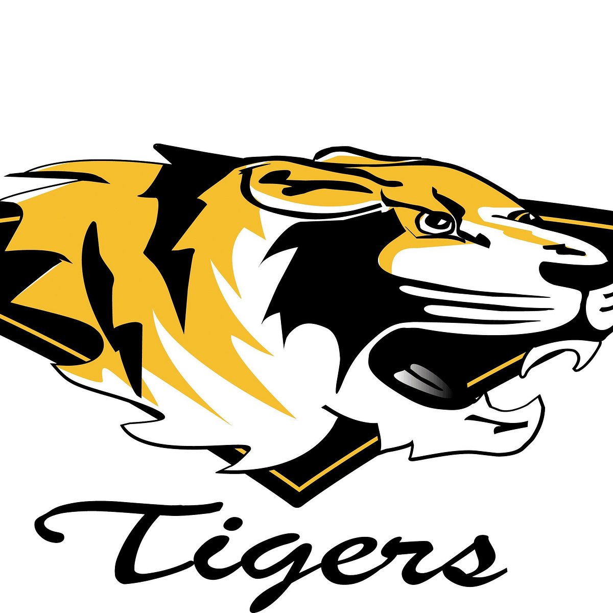 desert tiger tourism