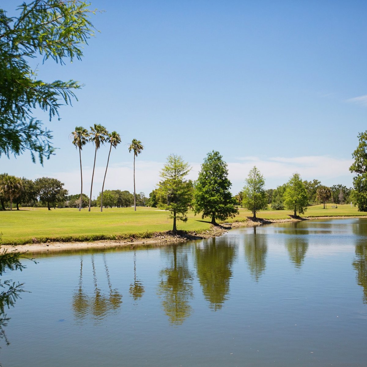 CYPRESS LINKS GOLF COURSE (St. Petersburg) All You Need to Know