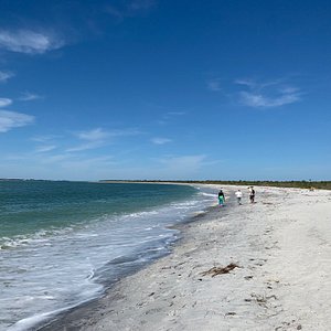 are dogs allowed on boca grande beach