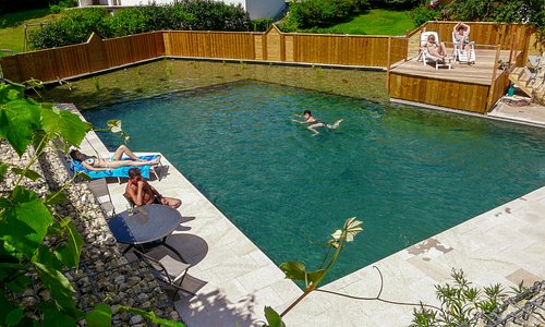 Ein wunderschön angelegtes Natur-Schwimmbad mit ausschließlich biologischer Aufbereitung, steht zu Ihrer freien Verfügung und lädt Sie zu einem besonderem Badevergnügen ein!