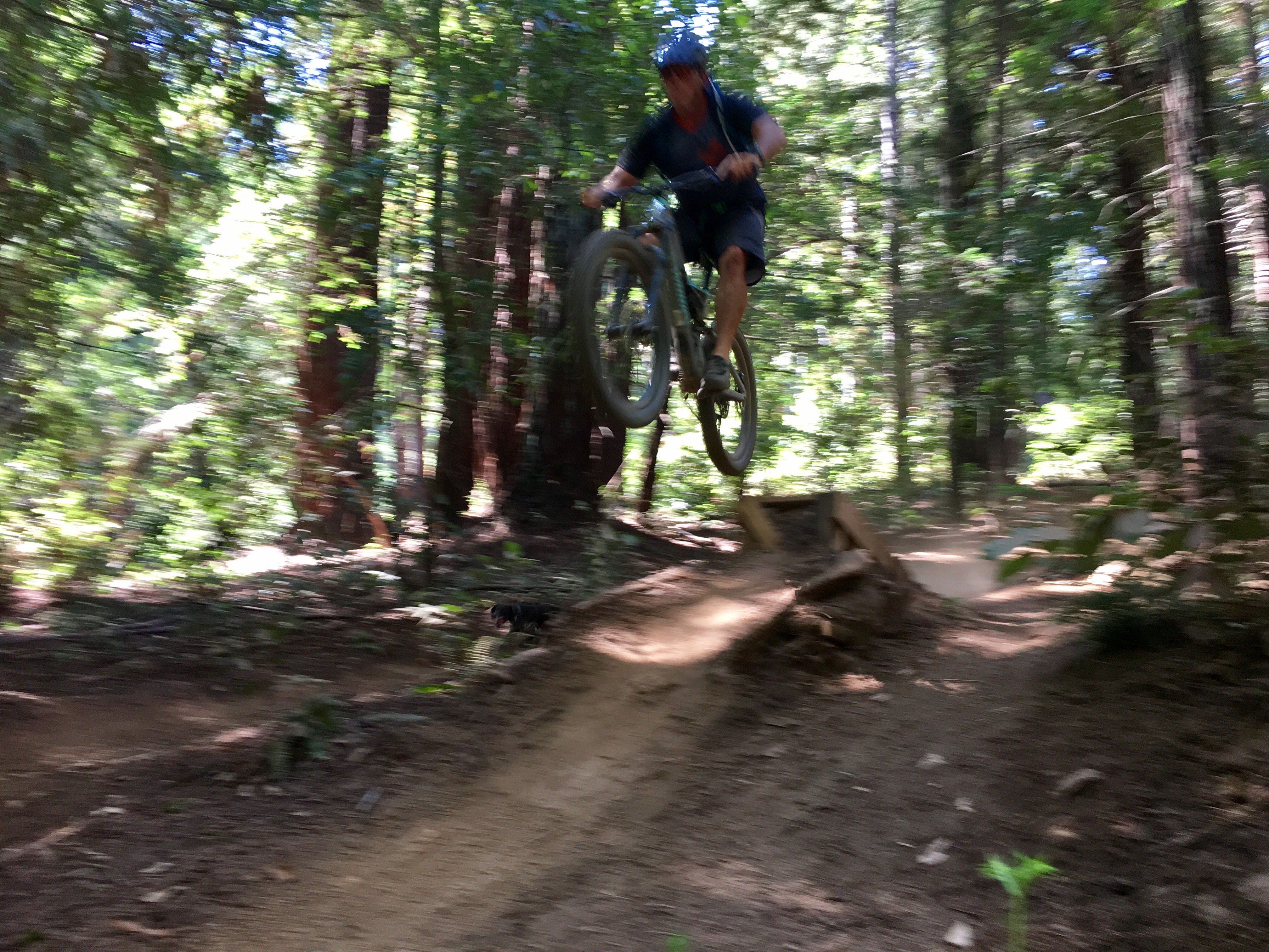 Norcal Flow Expeditions Downieville San Francisco Area All You