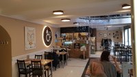 THE MAD CATTER CAT CAFE, Eastbourne - Restaurant Reviews, Photos & Phone  Number - Tripadvisor