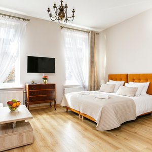 Terang Apartment
ul. Sarego 12
A sunny and spacious studio; location on a quiet street between Market Square and Kazimierz, in the tenement house where Natan and Yoram Gross lived.
