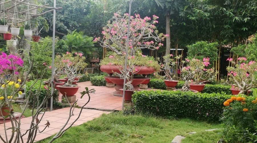 Một góc khuôn viên nhà hàng