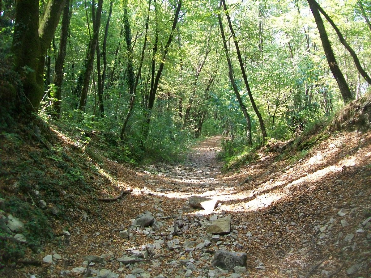 Scarponi da caccia e trekking NATURE