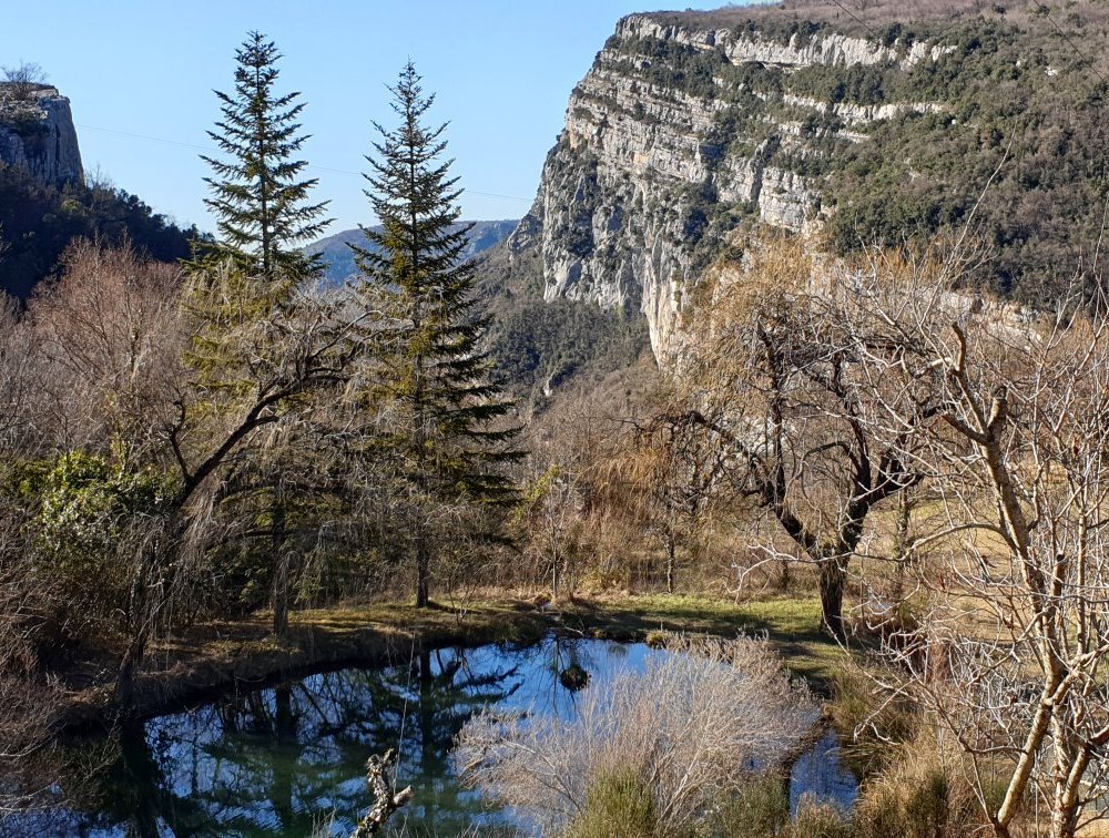 Gîte de la Cascade by null