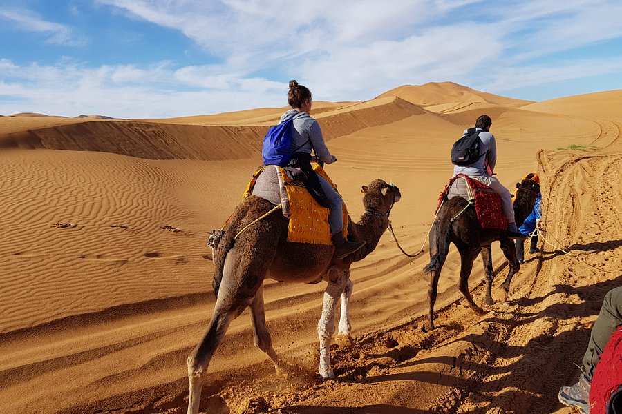 explore sahara tours