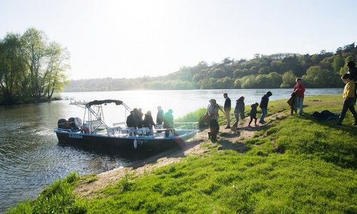 Escale sur une île sauvage de Loire
