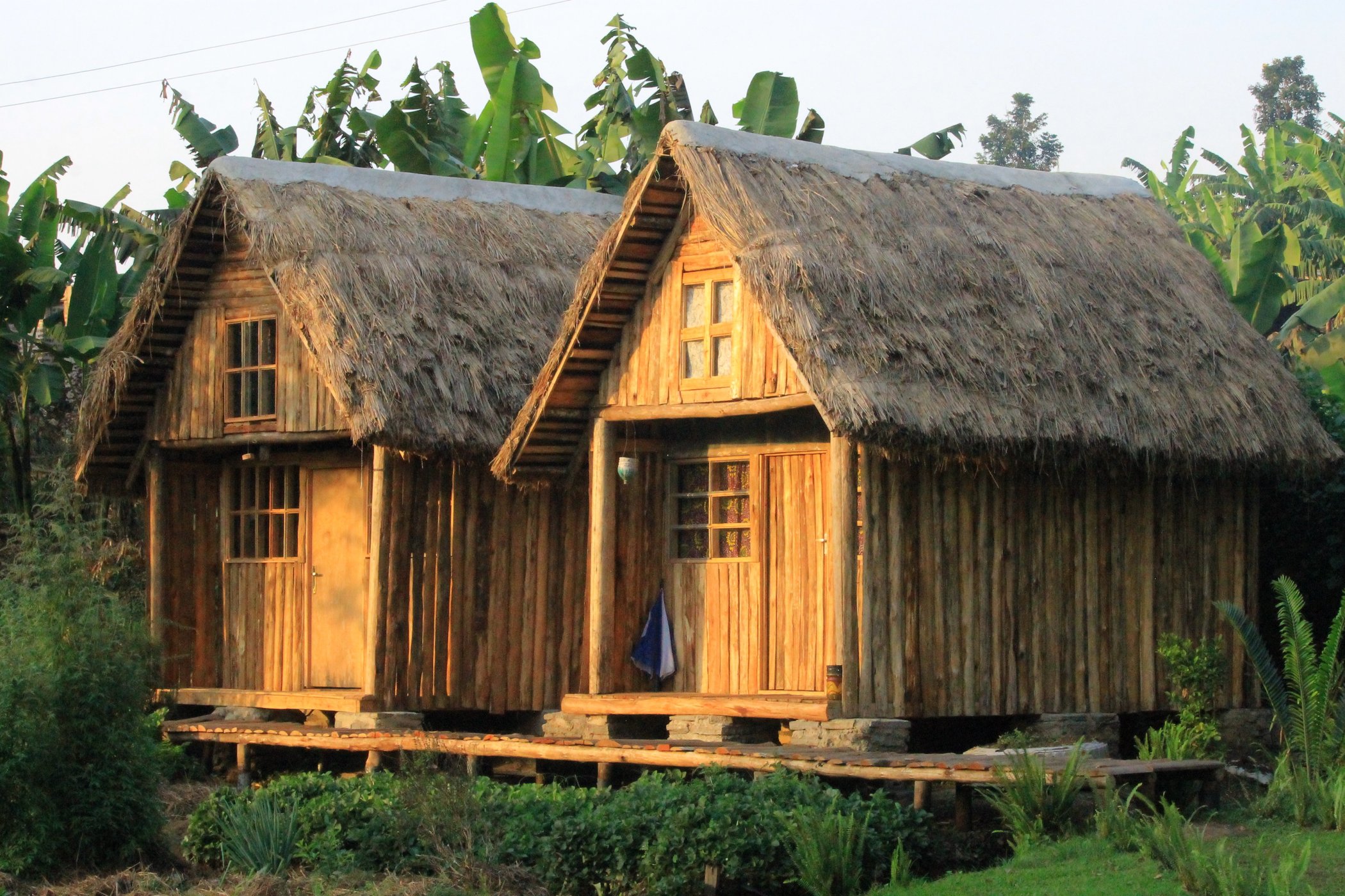 Kalitusi Nature Resort image