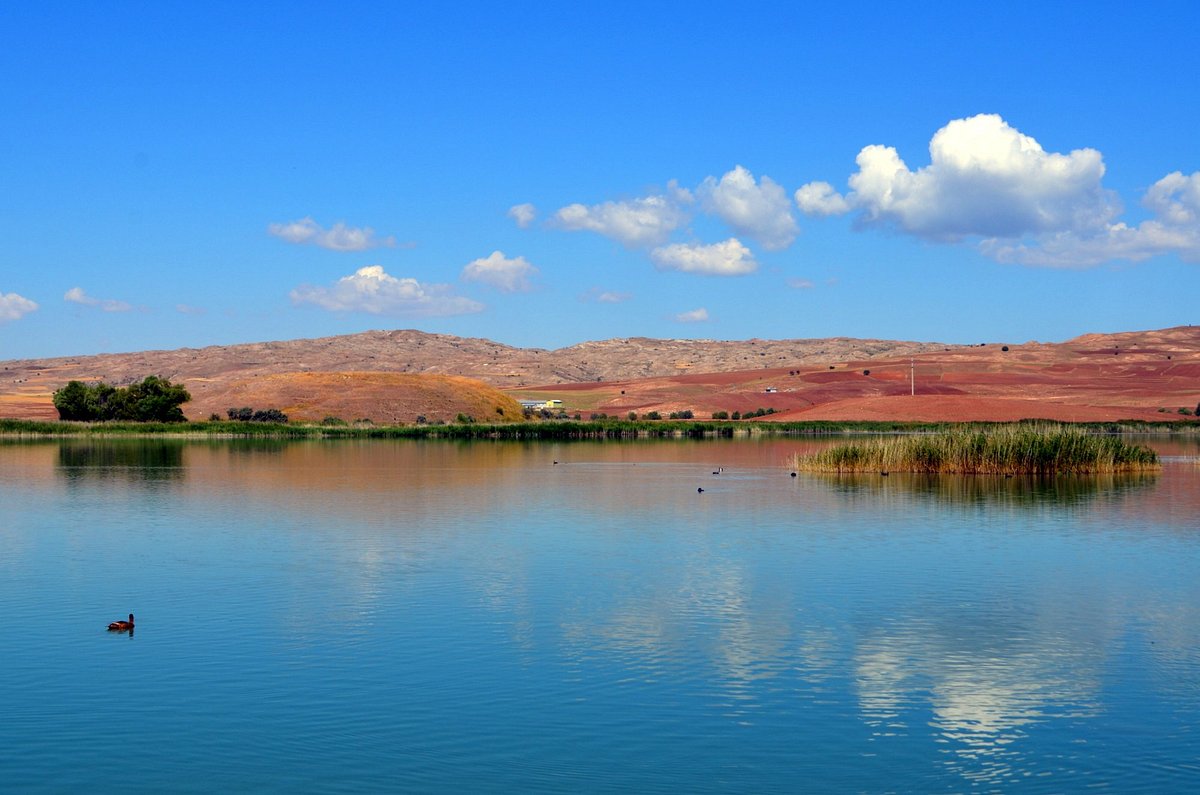 Hafik Gölü - Sivas - Hafik Gölü Yorumları - Tripadvisor