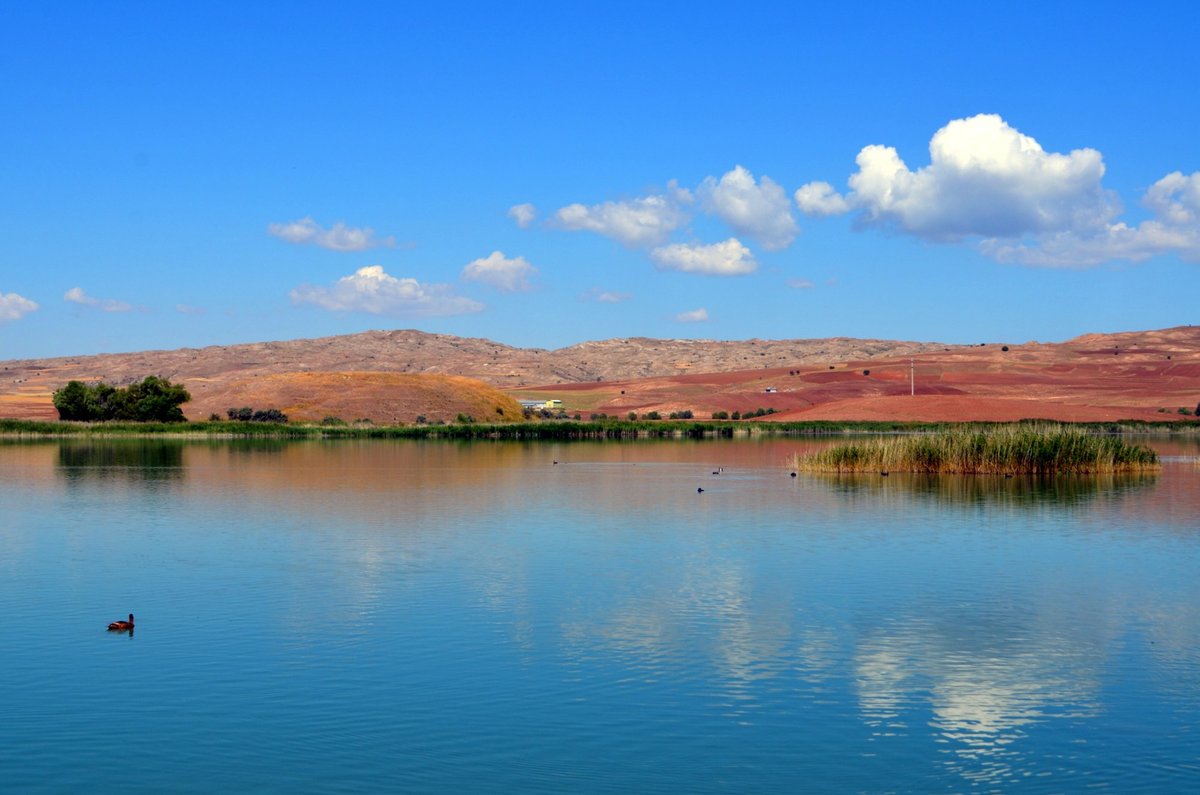 Hafik Gölü - Sivas - Hafik Gölü Yorumları - Tripadvisor