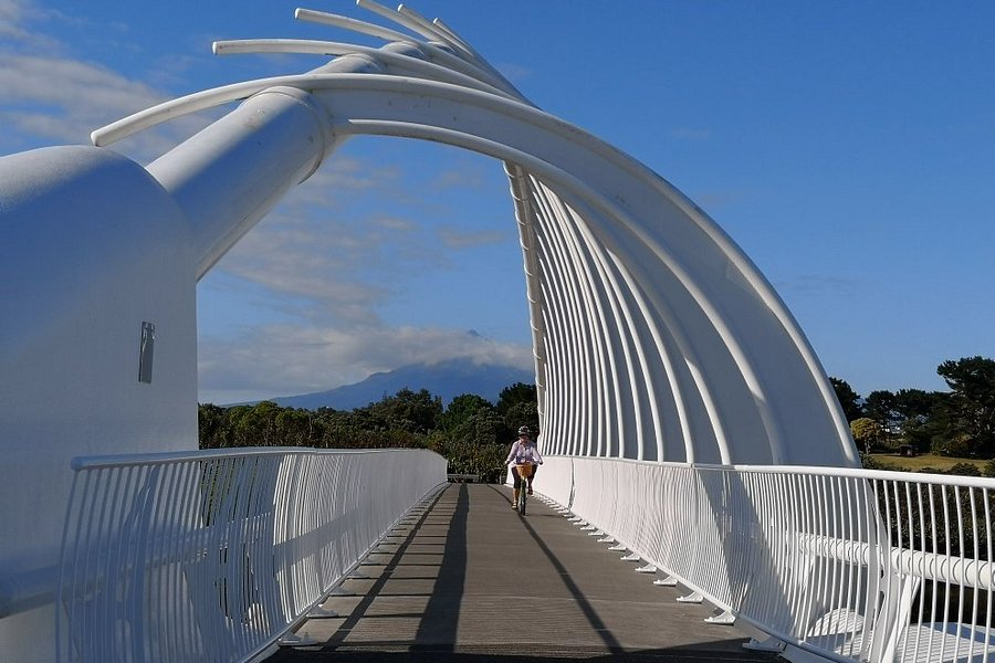 Te Rewa Rewa Bridge image