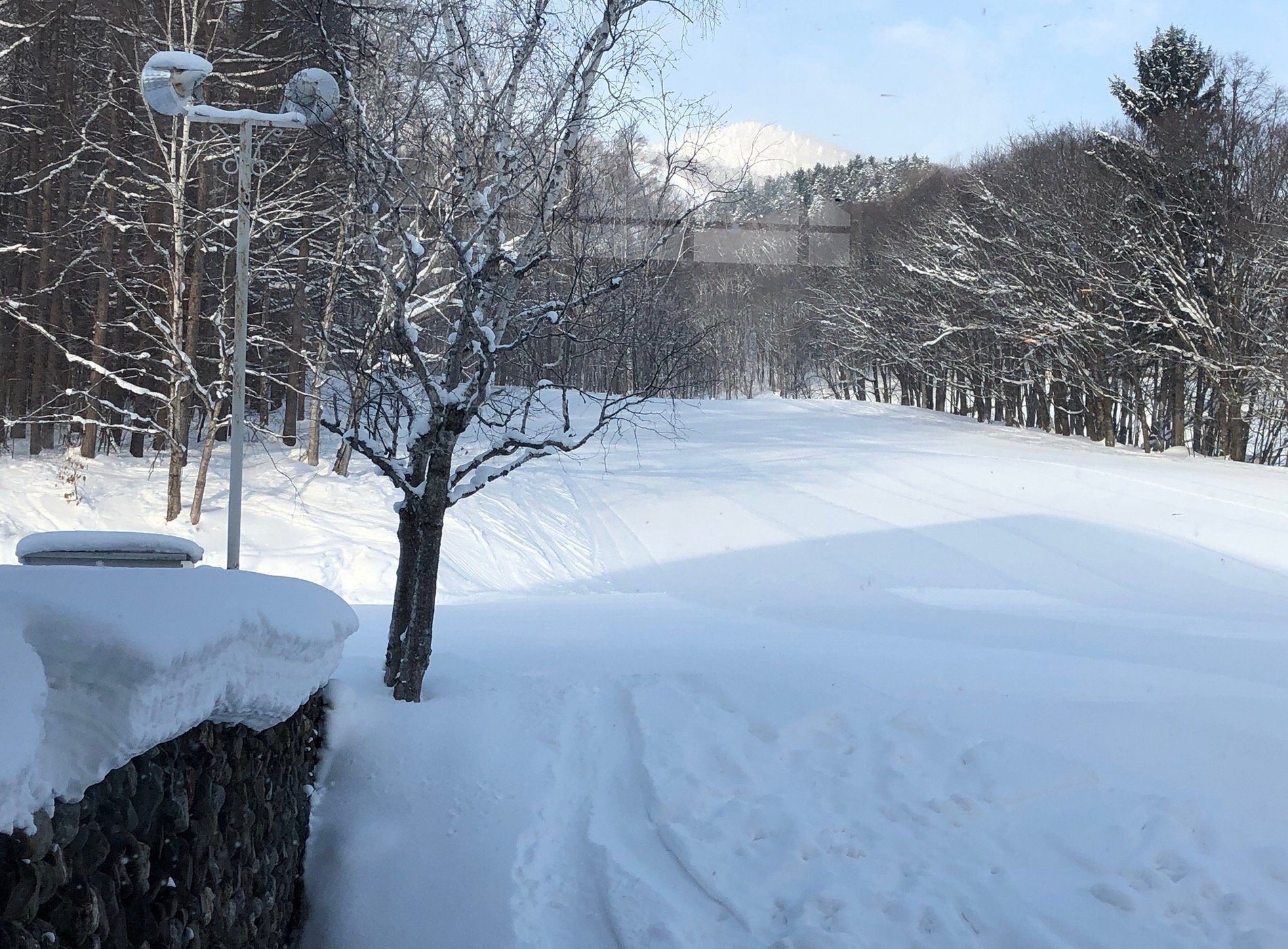 Furano Prince Hotel by null