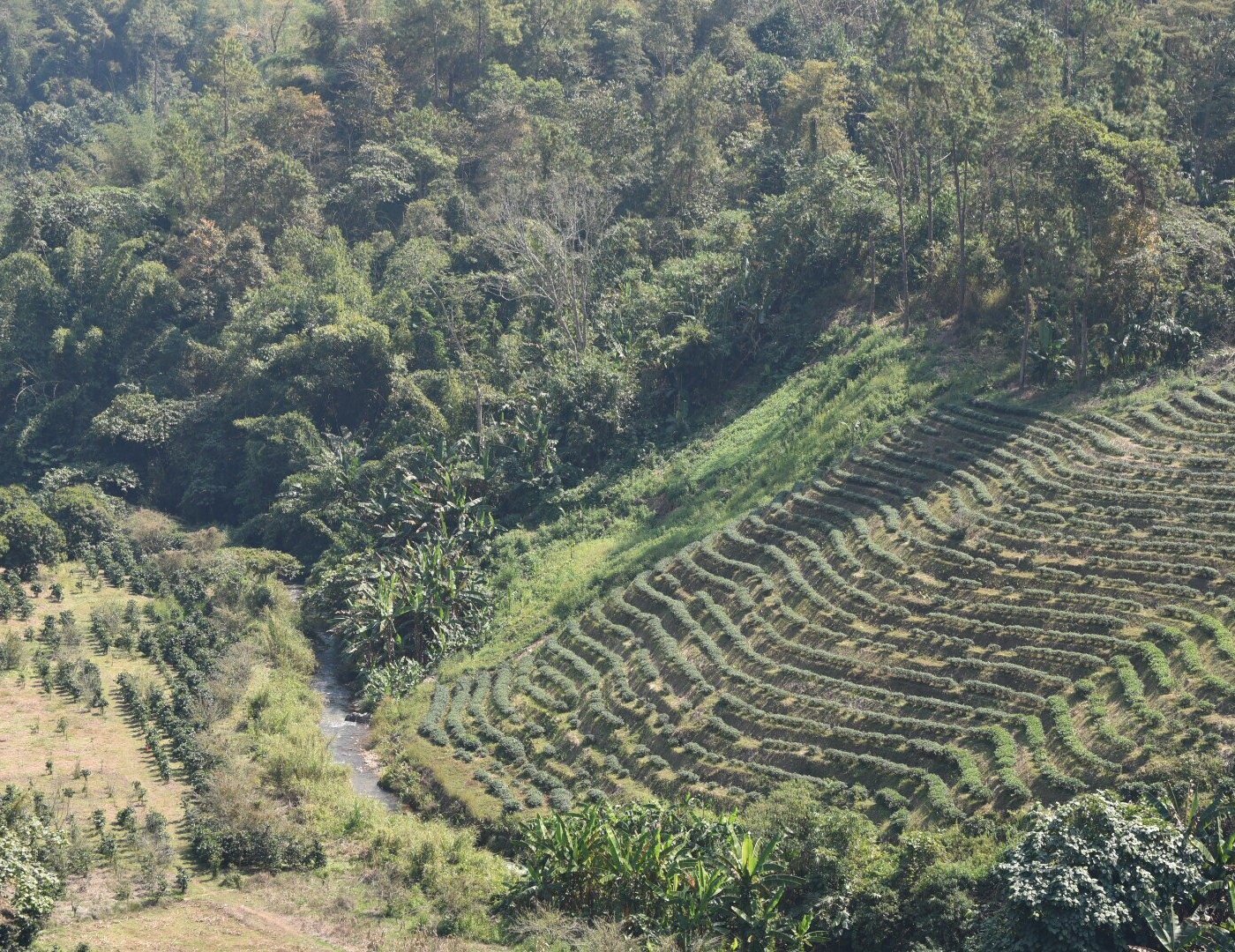 AKHA MUD HOUSE MAE SALONG - Lodge Reviews (Thailand)