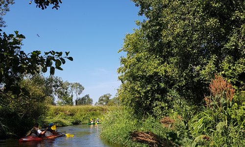 Rzeka Lubaczówka
