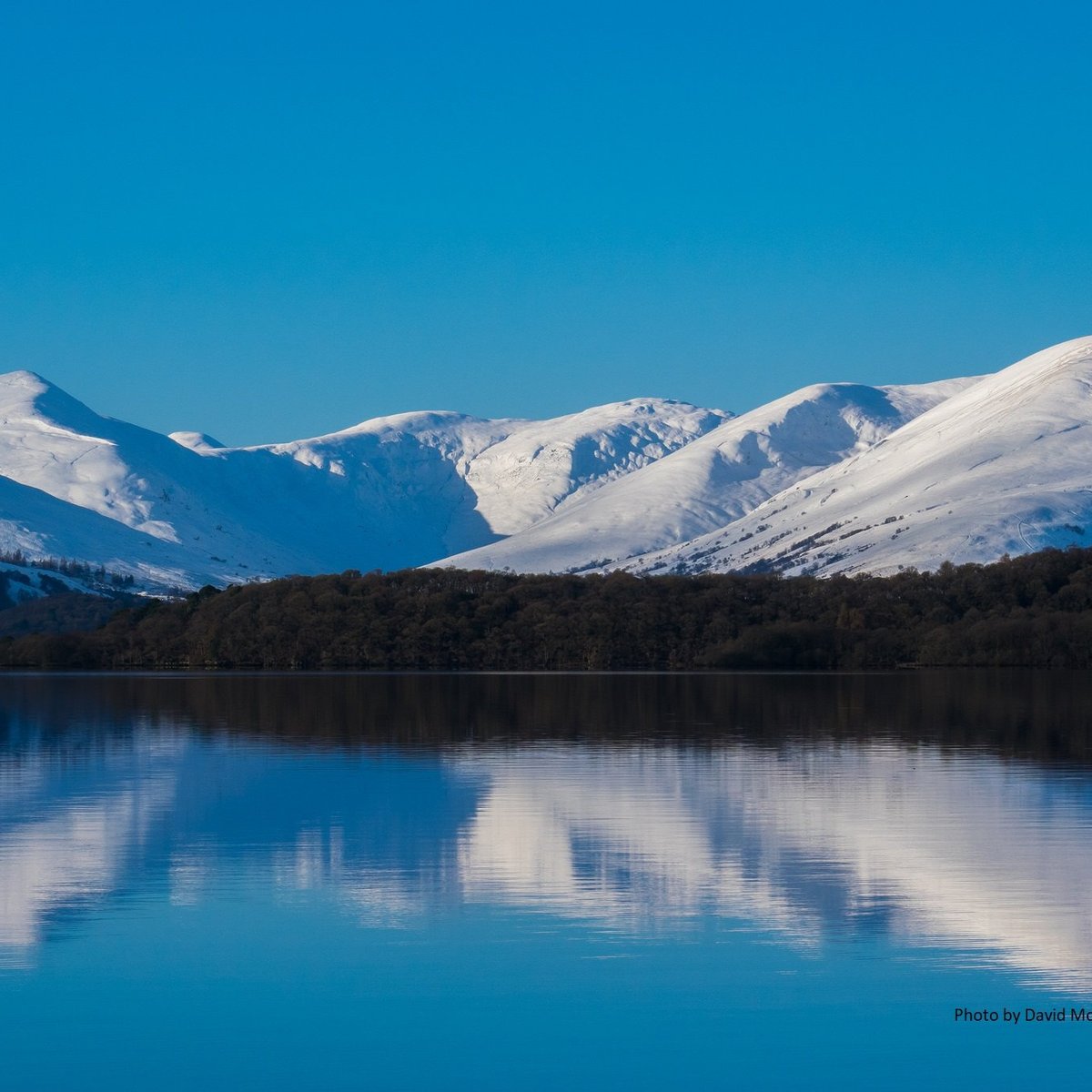 Loch Lomond Bird of Prey Centre — See Loch Lomond :: What to do in Loch  Lomond and Trossachs