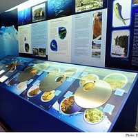 Dwejra Marine Environmental Education Centre