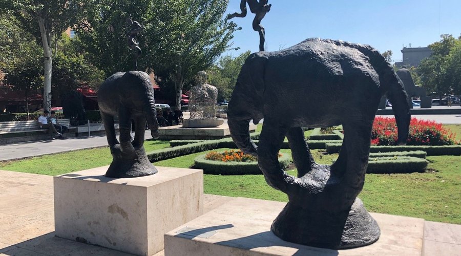 Elephants