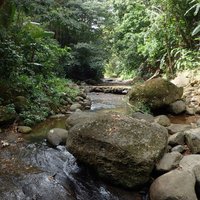 Errand Falls (St. Lucia) - All You Need to Know BEFORE You Go