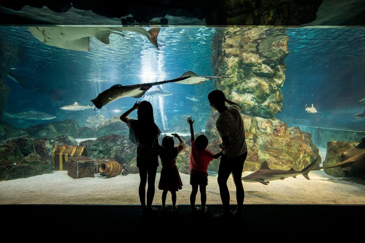 Coex Aquarium - O que saber antes de ir (ATUALIZADO Julho 2024)