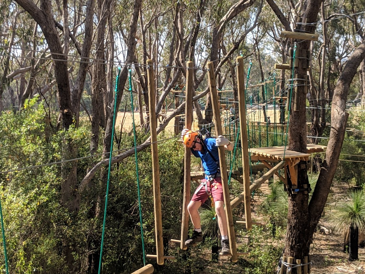 TREETOP EXPLORER - Tree Climbing Adventures and Training