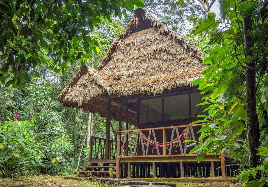 MADIDI JUNGLE ECOLODGE - Updated 2021 Prices, Lodge Reviews, and Photos ...