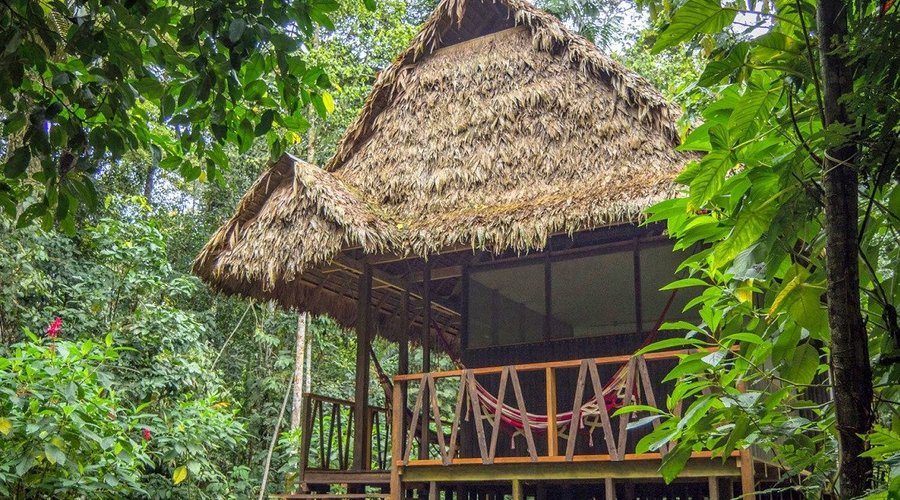 Private cabin/room with private bathroom 