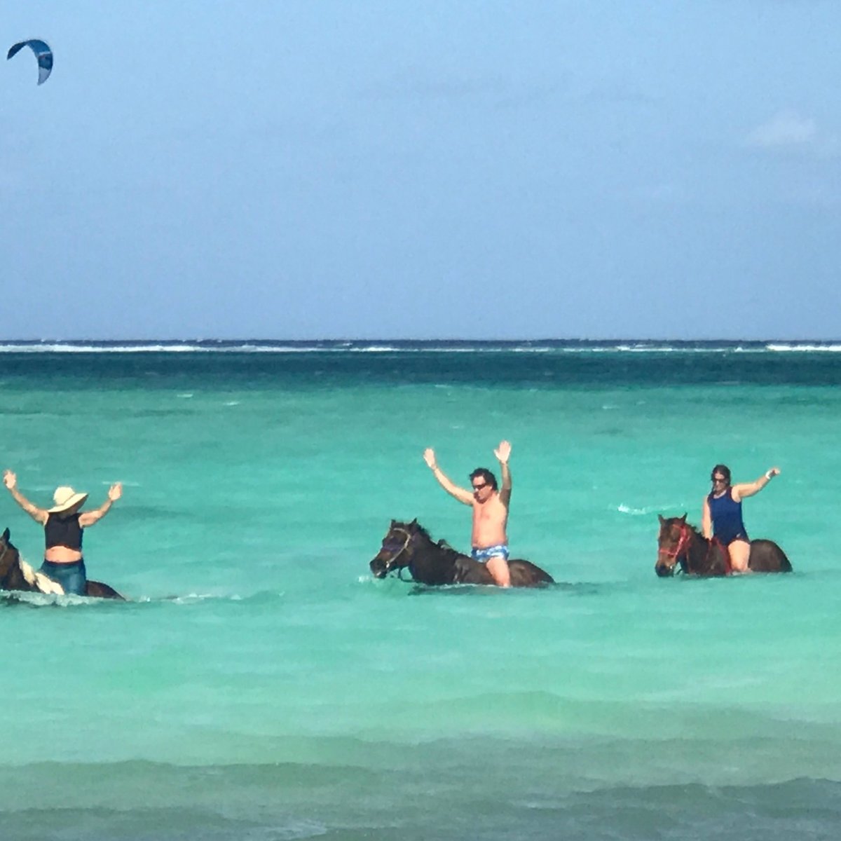 Cayman Horse Riding - All You Need to Know BEFORE You Go (2024)