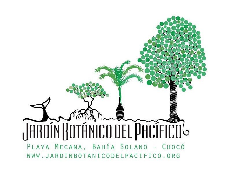 Jardín Botánico del Pacifico image