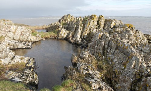 Mossyard Beach