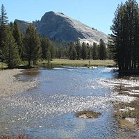 Tuolumne Meadows Bridge - Vista