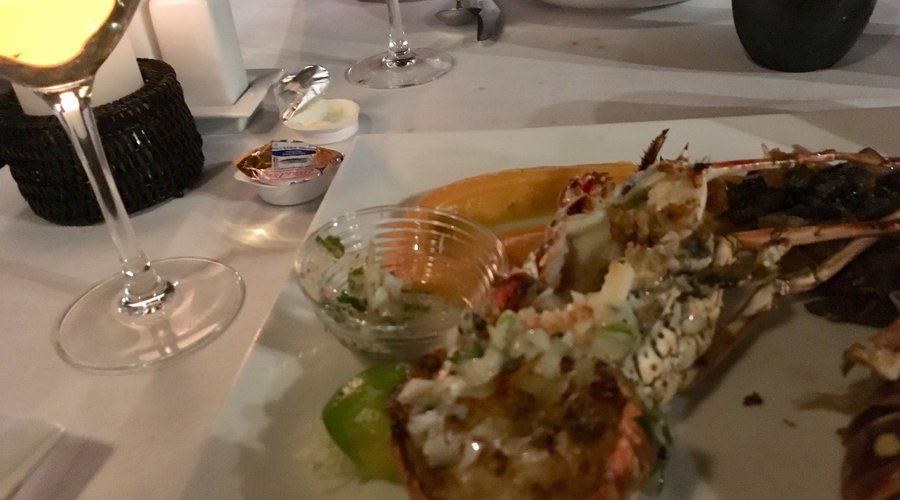 EXPENSIVE lobster