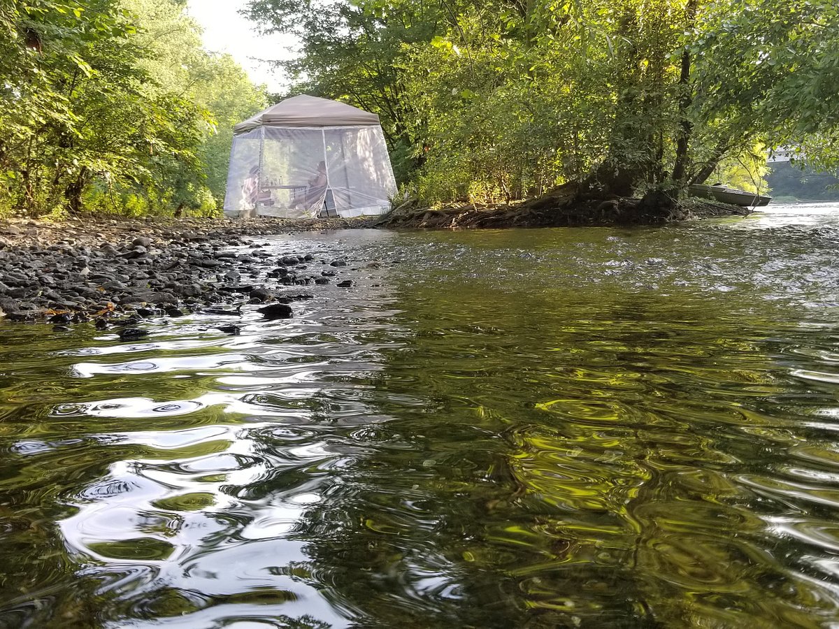 Boat Fishing Trips in Pennsylvania - Top Water Trips