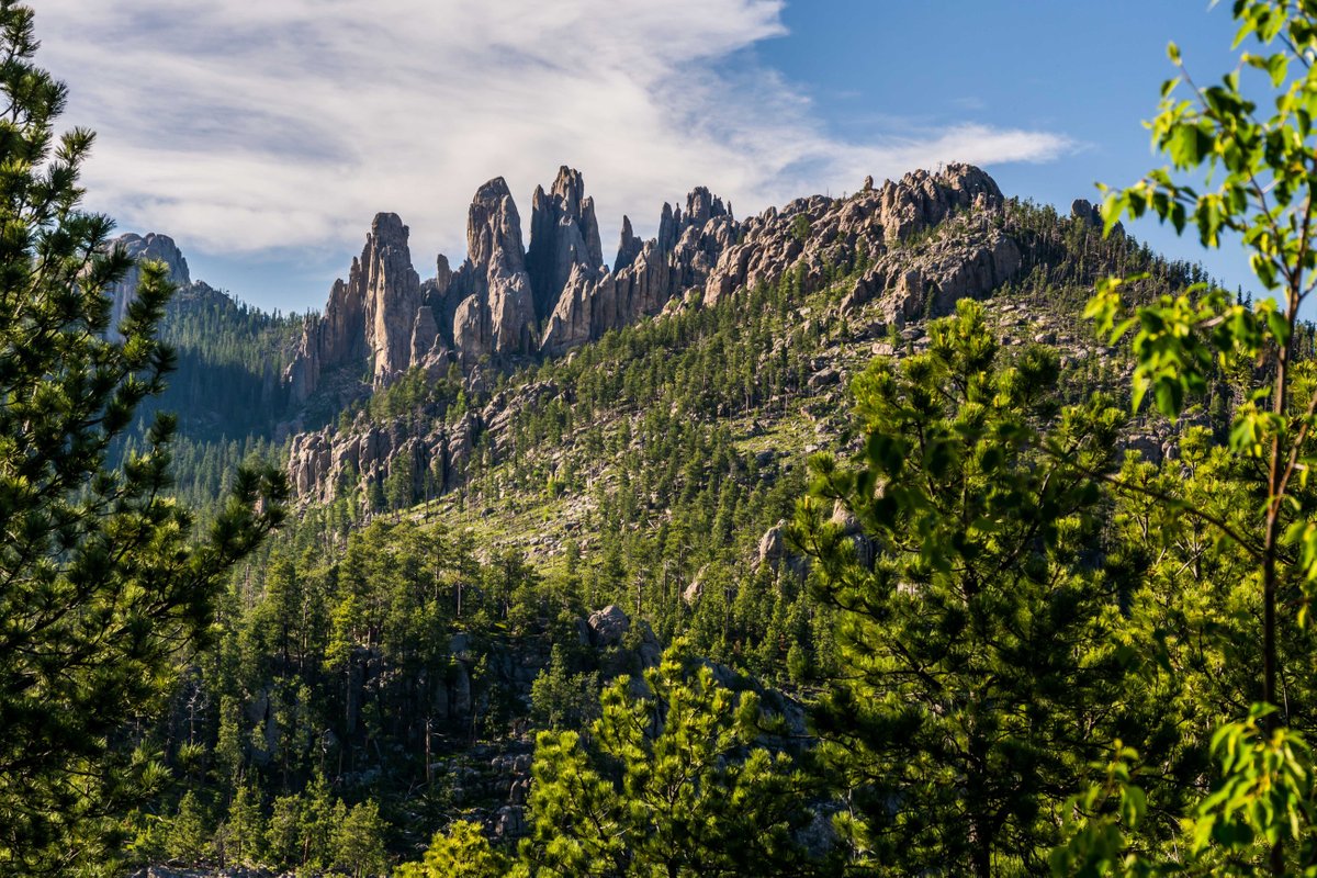 THE 15 BEST Things to Do in Custer - 2022 (with Photos) - Tripadvisor