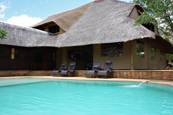 Kubu Safari Lodge Pool Pictures & Reviews - Tripadvisor