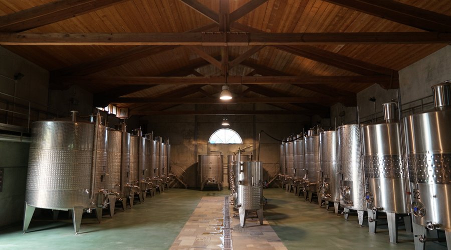 aqui se elaboran nuestros vinos