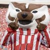 Bucky