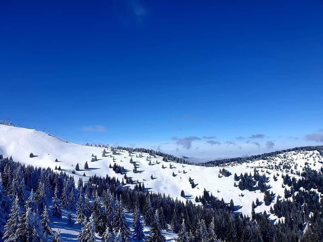 22年 Kopaonik 行く前に 見どころをチェック トリップアドバイザー