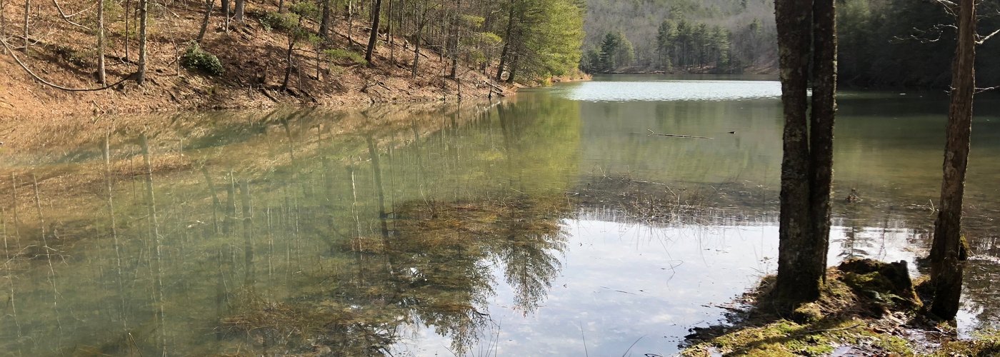 Cove near Fire Ring remote site