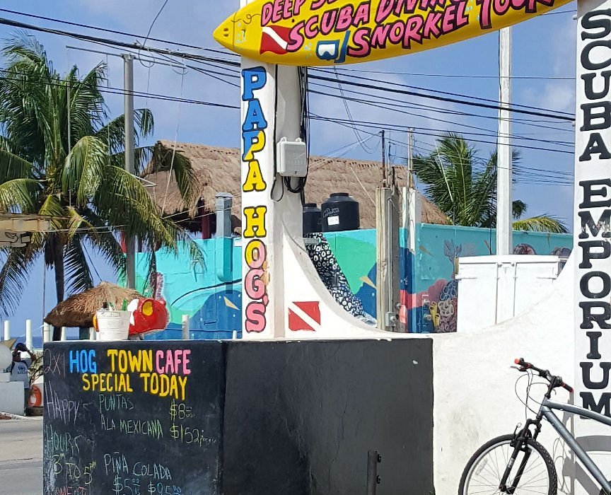 Papa Hog's Scuba Emporium (Cozumel) - All You Need to Know BEFORE You Go