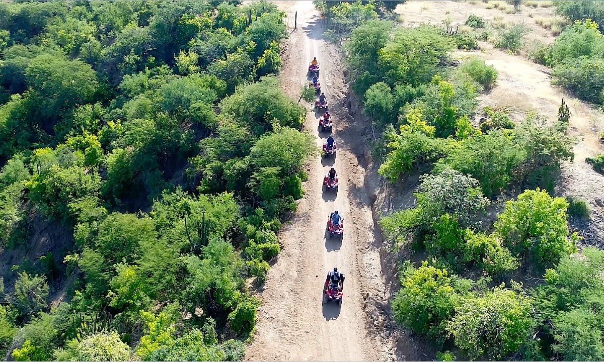 Rancho Madrigal (San José Del Cabo) - 2023 Lo que se debe saber antes de  viajar - Tripadvisor