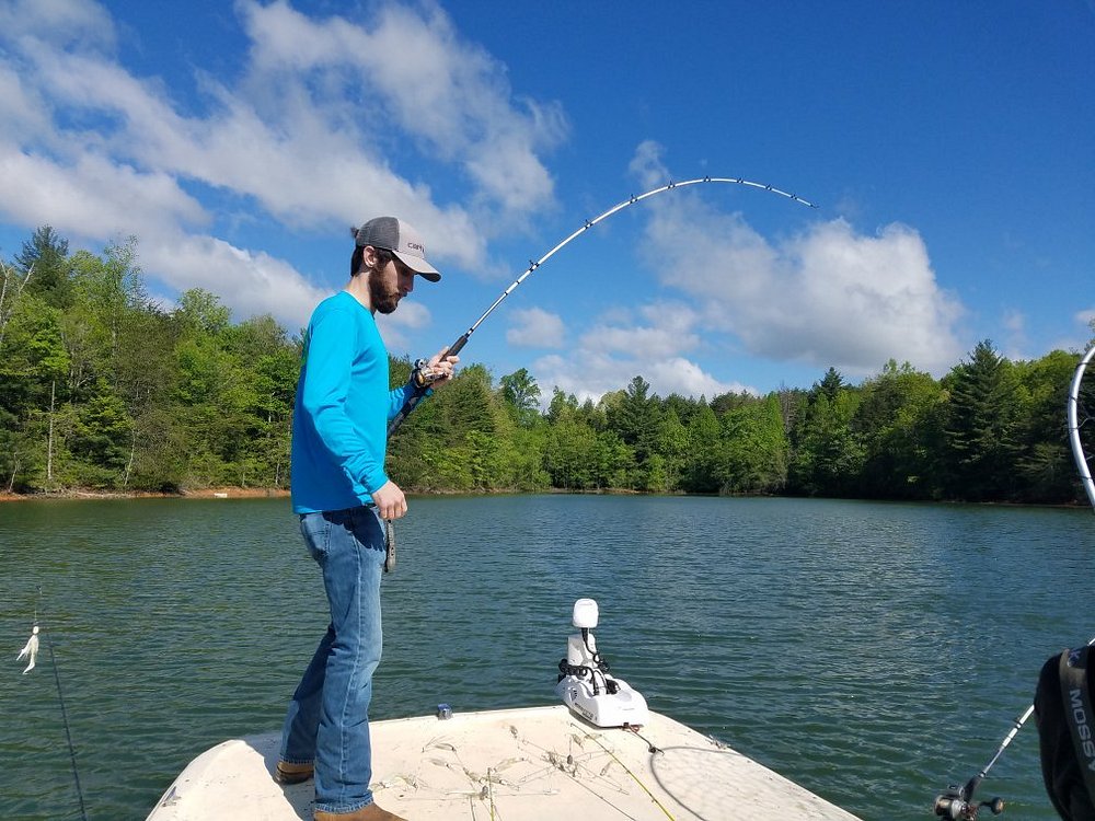 lake-nottely-fishing-charter-blairsville-all-you-need-to-know